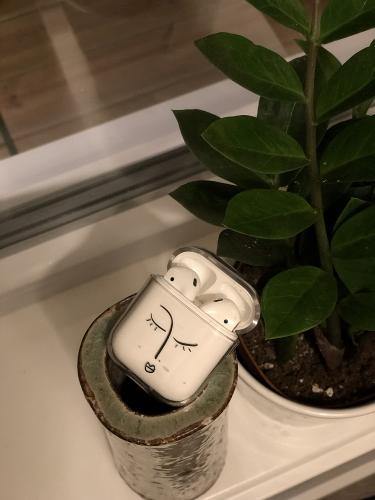 Apple AirPods Design Etui