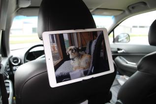 Nakkest&oslash;tteholder til iPad & lesebrett