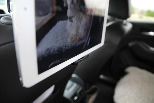 Nakkestøtteholder til iPad & lesebrett