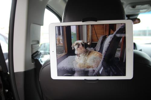 Nakkestøtteholder til iPad & lesebrett