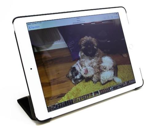 Cover Case Solid iPad Air 2