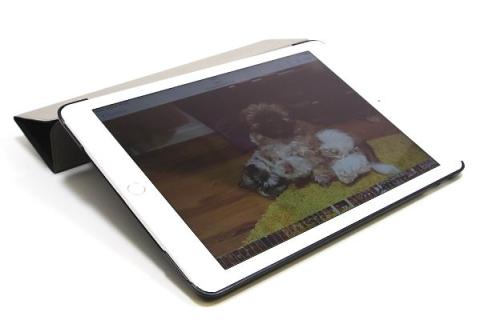 Cover Case Solid iPad Air 2