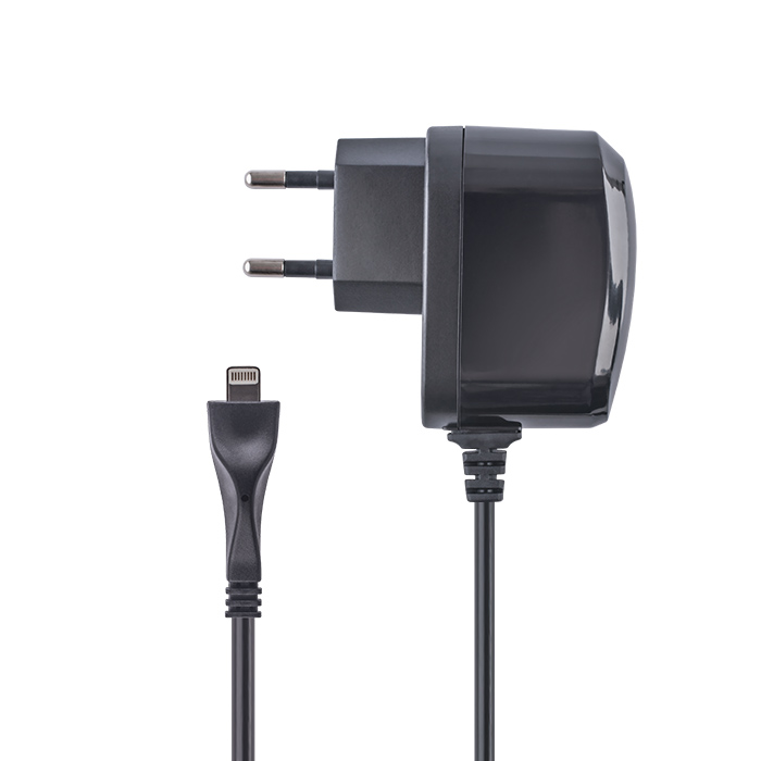 iPad Air and iPhone 5/6 charger 2000 mA