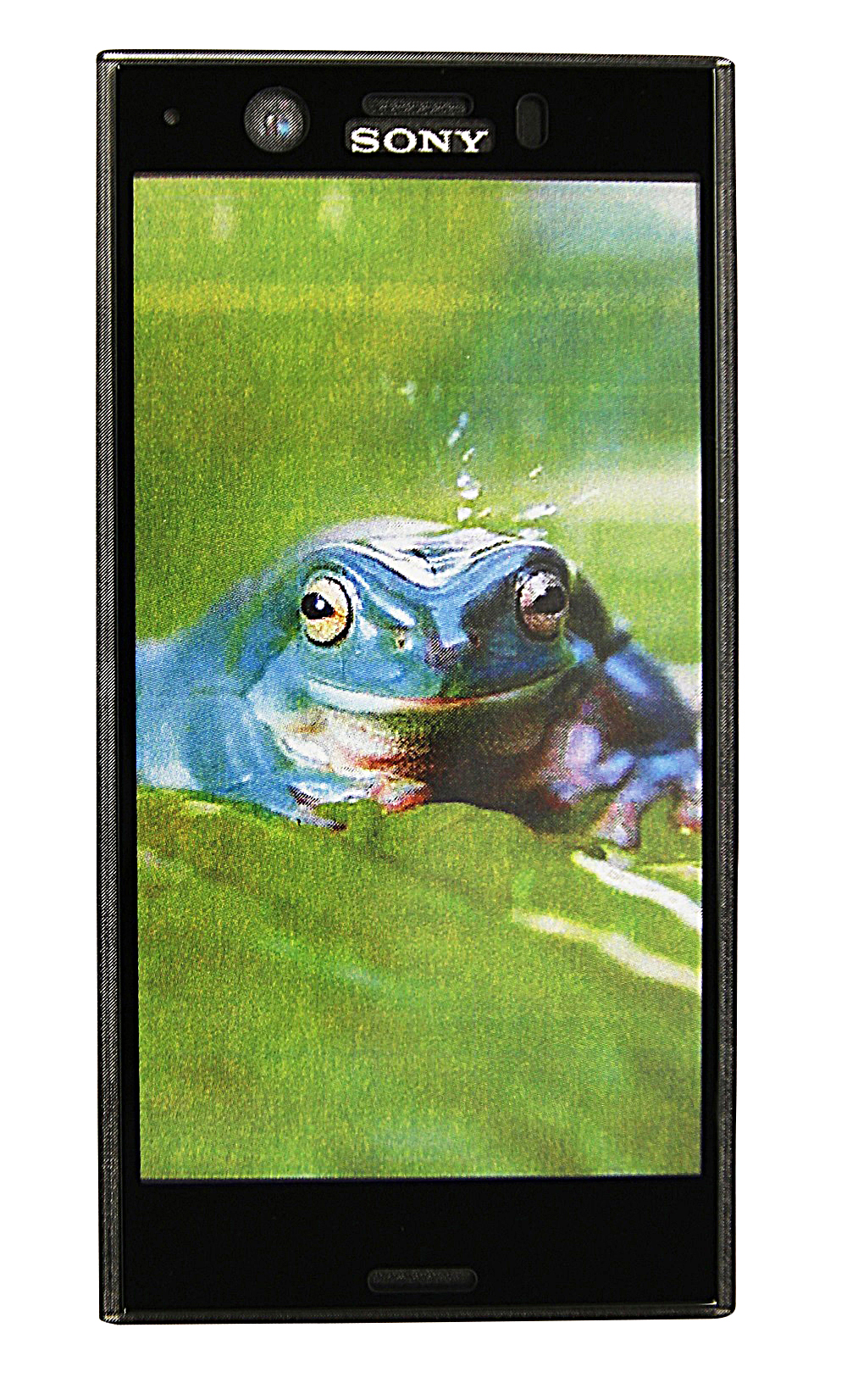 Full Frame Glassbeskyttelse Sony Xperia XZ1 Compact (G8441)
